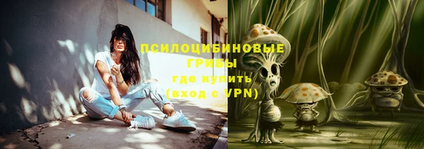 apvp Нея