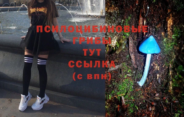 метадон Новозыбков