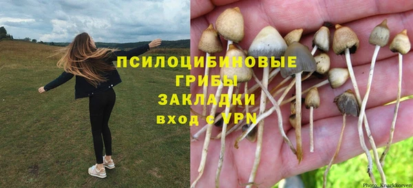 apvp Нея