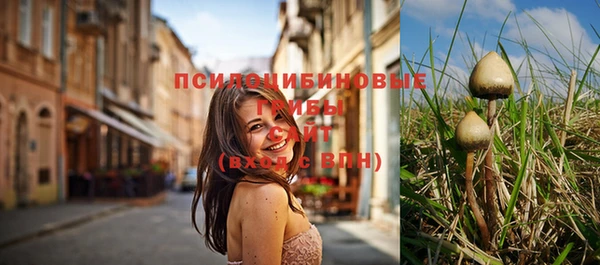 мяу мяу кристалл Новокубанск