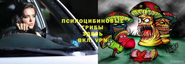 экстази Бикин