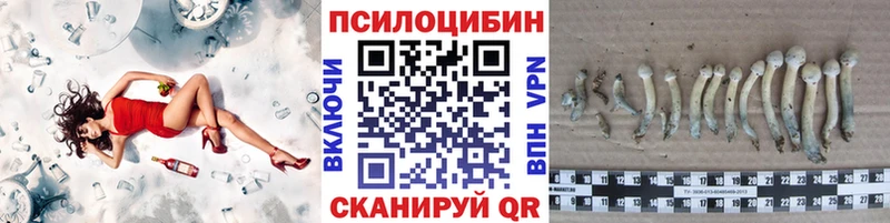 Галлюциногенные грибы Cubensis  даркнет сайт  Покровск 